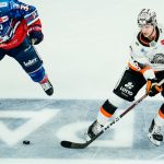 Eishockey: Bokk verlässt die Löwen Frankfurt – Keeper Brenner bleibt