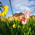 Wetter: Bis zu 16 Grad in der kommenden Woche