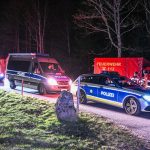 Schwarzwald: Zweijähriger nach Suchaktion unverletzt im Wald gefunden