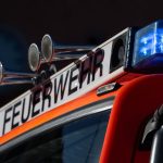 Tiere in Not: Neun Entenküken aus Ablaufbecken gerettet