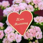 Geschenke: Handel hofft auf Muttertag: „An Mama wird nicht gespart“