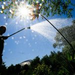 Ressourcenschutz: Region Hannover schränkt Bewässerung im Sommer erneut ein